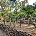 Peno Homestay