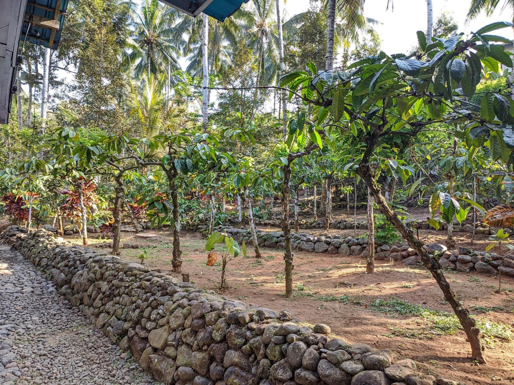 Peno Homestay